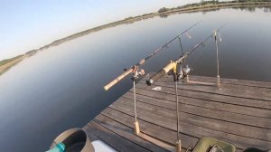 ЛЕТНЯЯ РЫБАЛКА В ПОДМОСКОВЬЕ 11.06.2020 г.