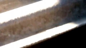 Выгульное содержание кроликов на полу.