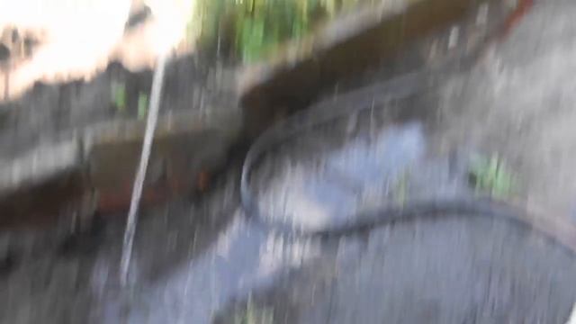 Душ - топтун. смотреть онлайн