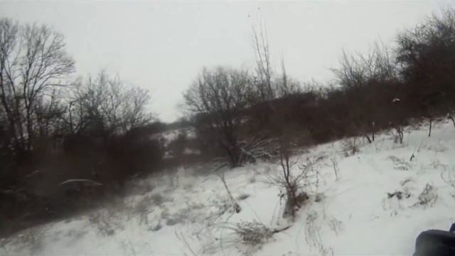 ПОЙМАЛИ ЗАЙЦА. рысь 113. смотреть онлайн