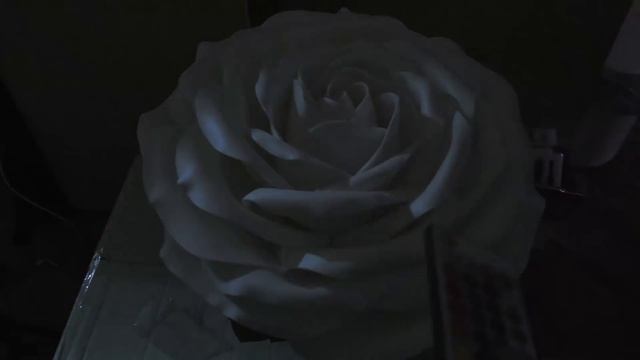 Распаковка по России|Будет интересно! Тдекор/Fiore/Цветастика/Подарок/Духи смотреть онлайн