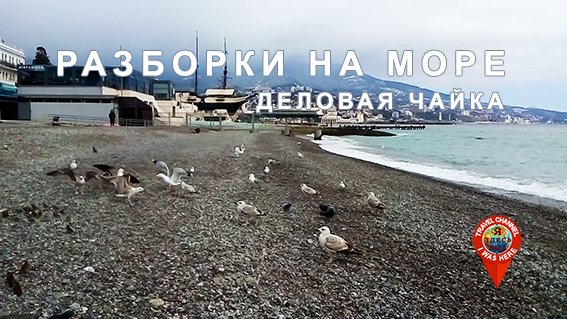 Нэнси Ялта море Чайка