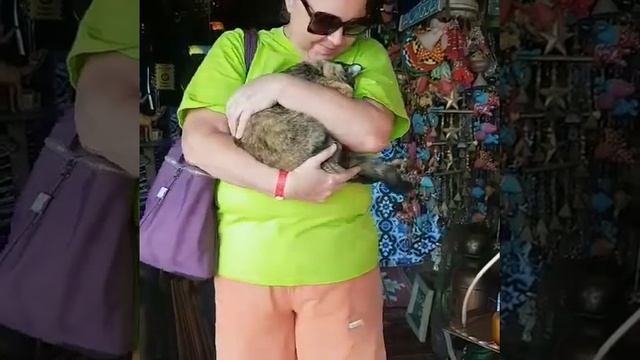 Коты в Египте - священные животные. Я с котейкой кафе Фарша (территория отеля Фараана риф, 20.11.20 смотреть онлайн