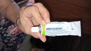 Кане Корсо. Cane Corso.  Покраснение между подушечек на лапах у собаки. Межпальцевый дерматит.