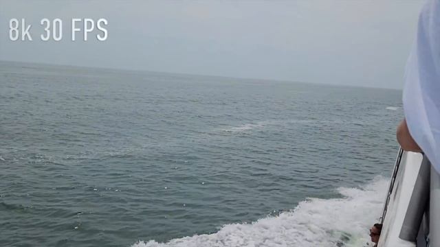 Galaxy Fold 5: 2 Months Later - Honest Day In the Life Review смотреть онлайн