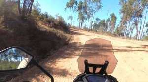 Worth the money? Voge 300 Rally - OFF Road first impressions