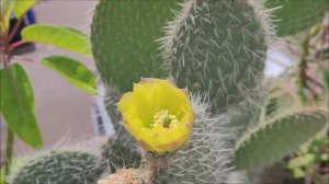 по ботаническому саду, часть 2