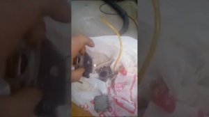 Не заводится бензопила "Урал"