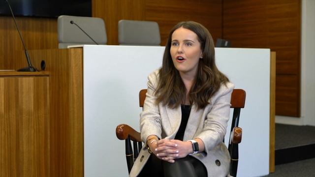 Why W&L Law with Kylan Memminger смотреть онлайн