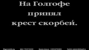 Караоке плюс. 13. Фонари, ночные фонари. (Сергей В. Жаренов)