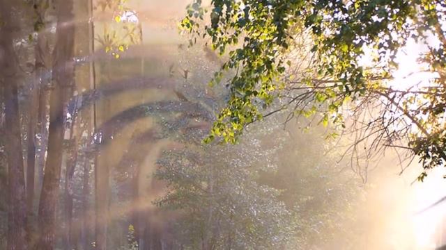 А ЗА ОКНОМ ОПЯТЬ ДОЖДИ смотреть онлайн