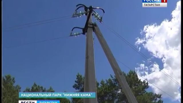 В национальном парке "Нижняя Кама" установили птицезащитные устройства