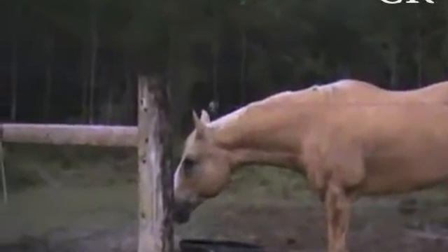 НЛО СПАСЛО РЕБЕНКА!!! смотреть онлайн