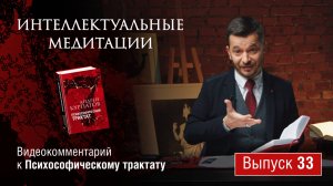 Интеллектуальные медитации. Видеокомментарий к Психософическому трактату: выпуск 33