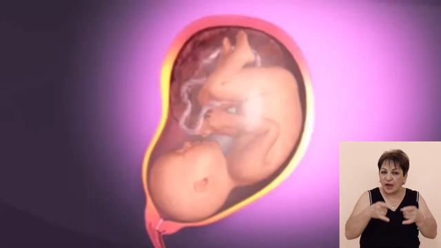 #ԺեստերիԼեզվով #մայրուբալիկ - Maternity / Մայրություն - ֆիլմ չորրորդ смотреть онлайн