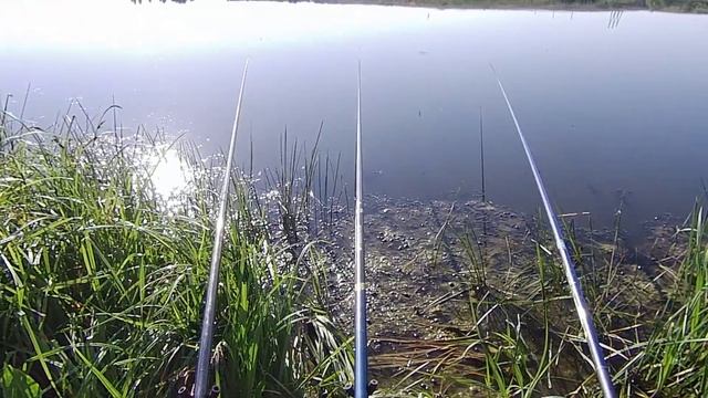 РАННИМ УТРОМ С УДОЧКАМИ НА РЫБАЛКУ. НОВОСТИ О БРАКОНЬЕРСКОЙ ДЕЯТЕЛЬНОСТИ. Браконьеры с сетями. смотреть онлайн