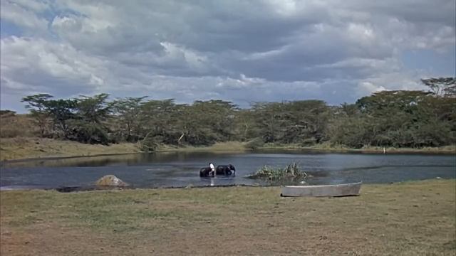 ¡Hatari! Howard Hawks. 1962 / 