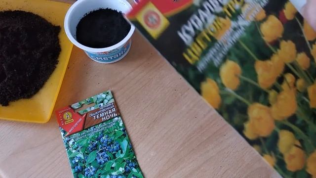 КАК #СТРАТИФИЦИРОВАТЬ #СЕМЕНА В ДОМАШНИХ УСЛОВИЯХ