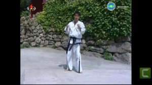 Таэквондо ITF. Бандэ Доллё Чаги.