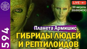 #594 Ченнелинг: Исследование гибридов людей и рептилоидов. Секретный мир цивилизации планеты Армишис