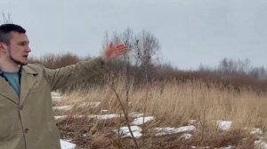 Юнтоловский заказник. Куда сходить в Санкт-Петербурге?