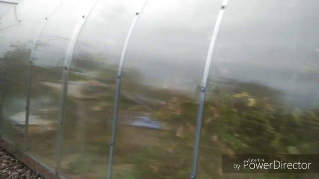 Моя любимая Дача 06.10.2019. Чем обрабатываю теплицу. Цветы. смотреть онлайн