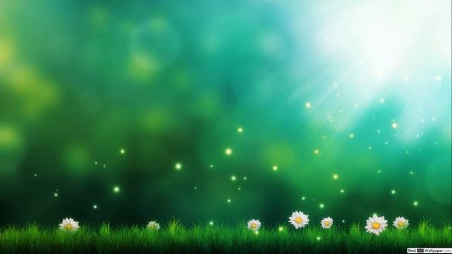 Офати дин се чиз аст смотреть онлайн