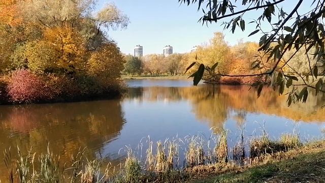 Санкт-Петербург. Южно-Приморский парк. Пруд "Восьмёрка". 21.10.2023.