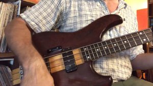 Ibanez Musician MC824 -1981