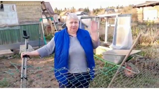 Содержание уток Мулардов. Загон для уток.  #папанадаче