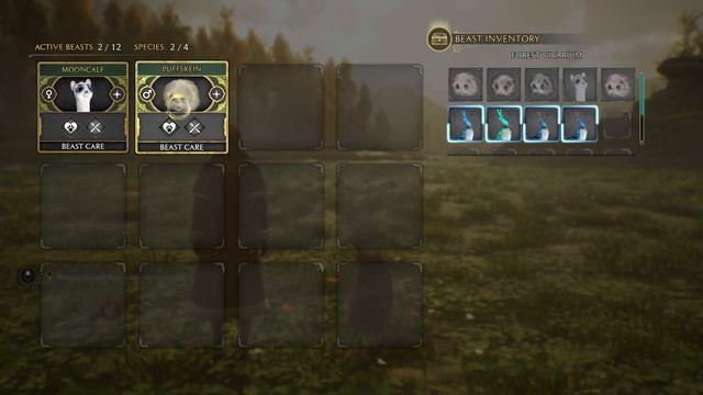 A VIVARIUM OF SOME SORT - Hogwarts Legacy - Dark Witch Petunia - Part Vicensimus Primus смотреть онлайн