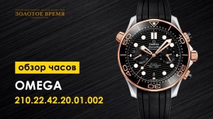 Часы мужские Omega Diver 300 M Co‑Axial Master Chronometer 210.22.42.20.01.002