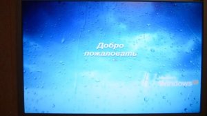 Что за глюк