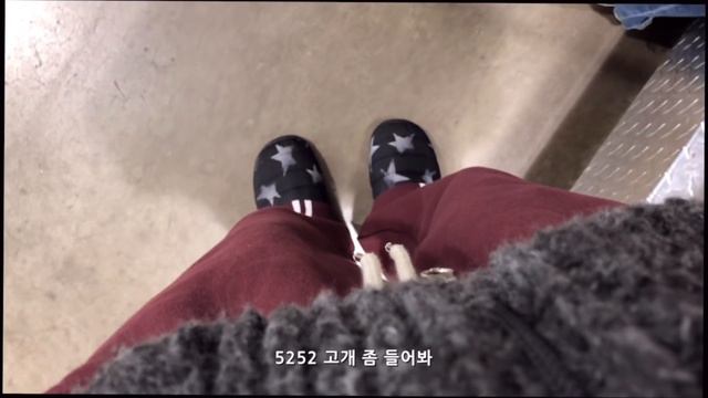집순이?의 첫 일상 브이로그 | 샌드위치, 떡볶이, 쇼핑, 방구조 바꾸기