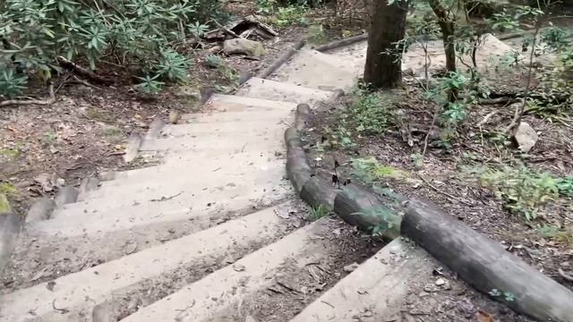 Chilhowee Campground | Benton Falls Trail | Cherokee National Forest смотреть онлайн