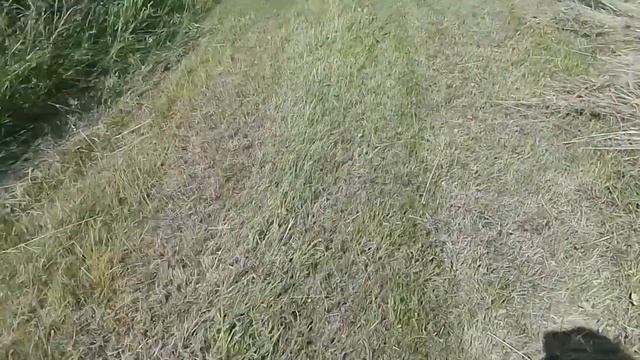 Сенокос продолжение! смотреть онлайн