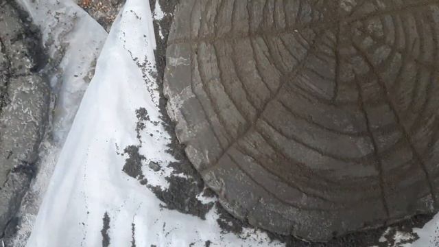 Садовая дорожка из артбетона под спил дерева.