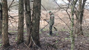 Что можно найти в огороде? Золотая лихорадка!