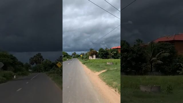 Rice Farm in my hometown | Mengly Vlog #short #view #bestview