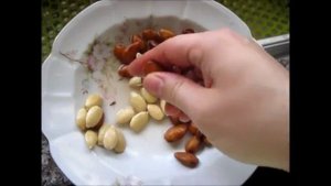 Как почистить и порезать МИНДАЛЬ