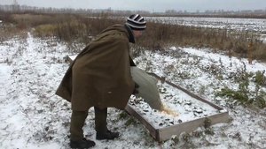 Закрываем на зиму клубнику и клубничную рассаду