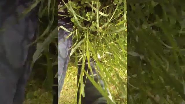 Путешествие 3 смотреть онлайн