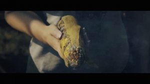 ЧЕГО НАМ ЖДАТЬ ОТ НОВОЙ ИГРЫ FARMING SIMULATOR 2025-2026 ?