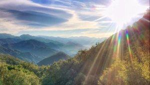 Оттолкнувшись от трехмерной матрицы. Практика.