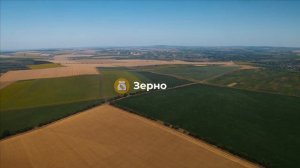 Zernoff Ethanol - газоконвертор Ятаган