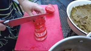 Готовим Толму (Долму)