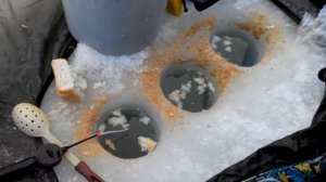 Зимняя рыбалка на сало