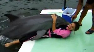 Дельфин перепутал женщину с самкой