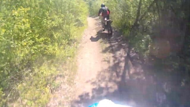 Большие коты смотреть онлайн