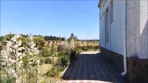 Село Воронцовка, Ейский район, Краснодарский край, 19.06.2022 года